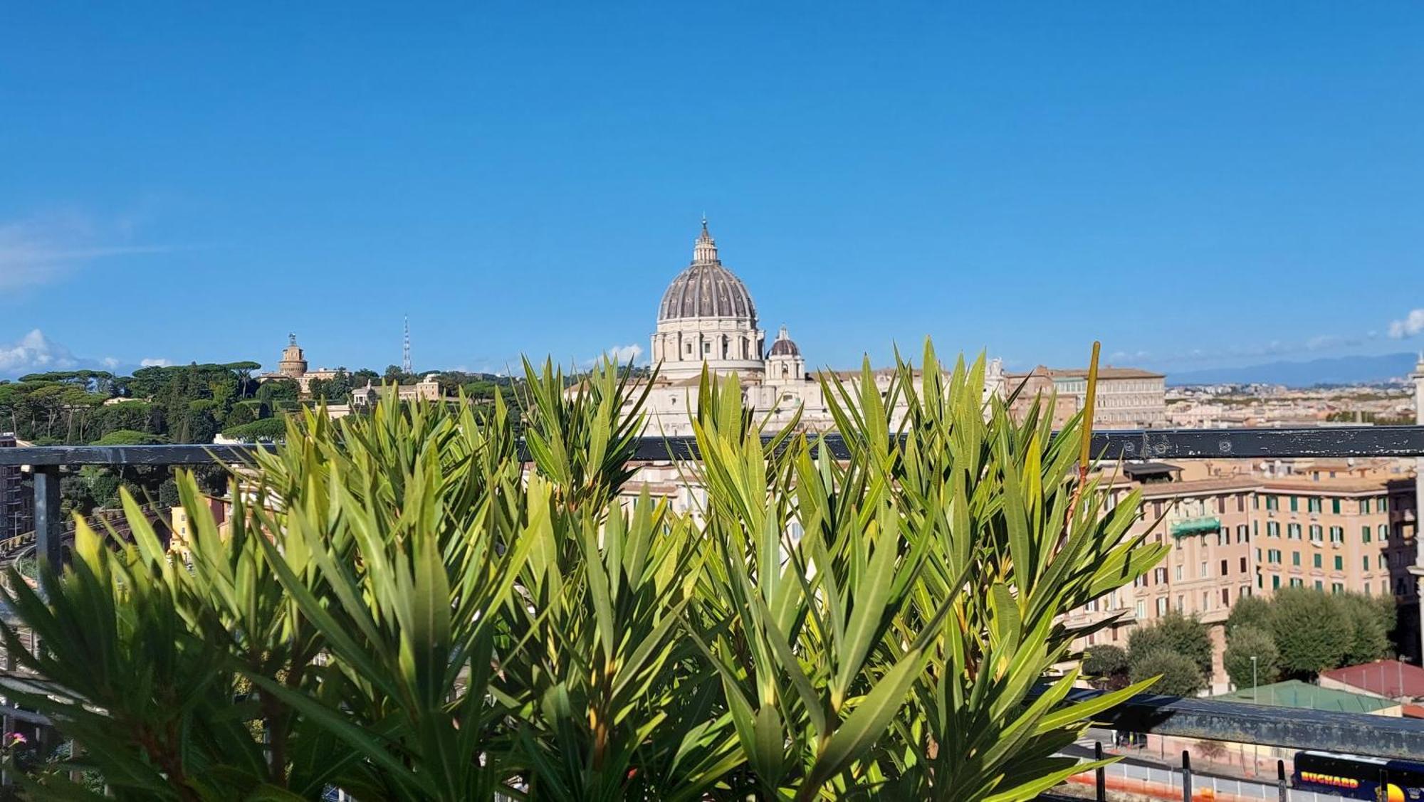 Delmirani's Book - Vatican View Roma