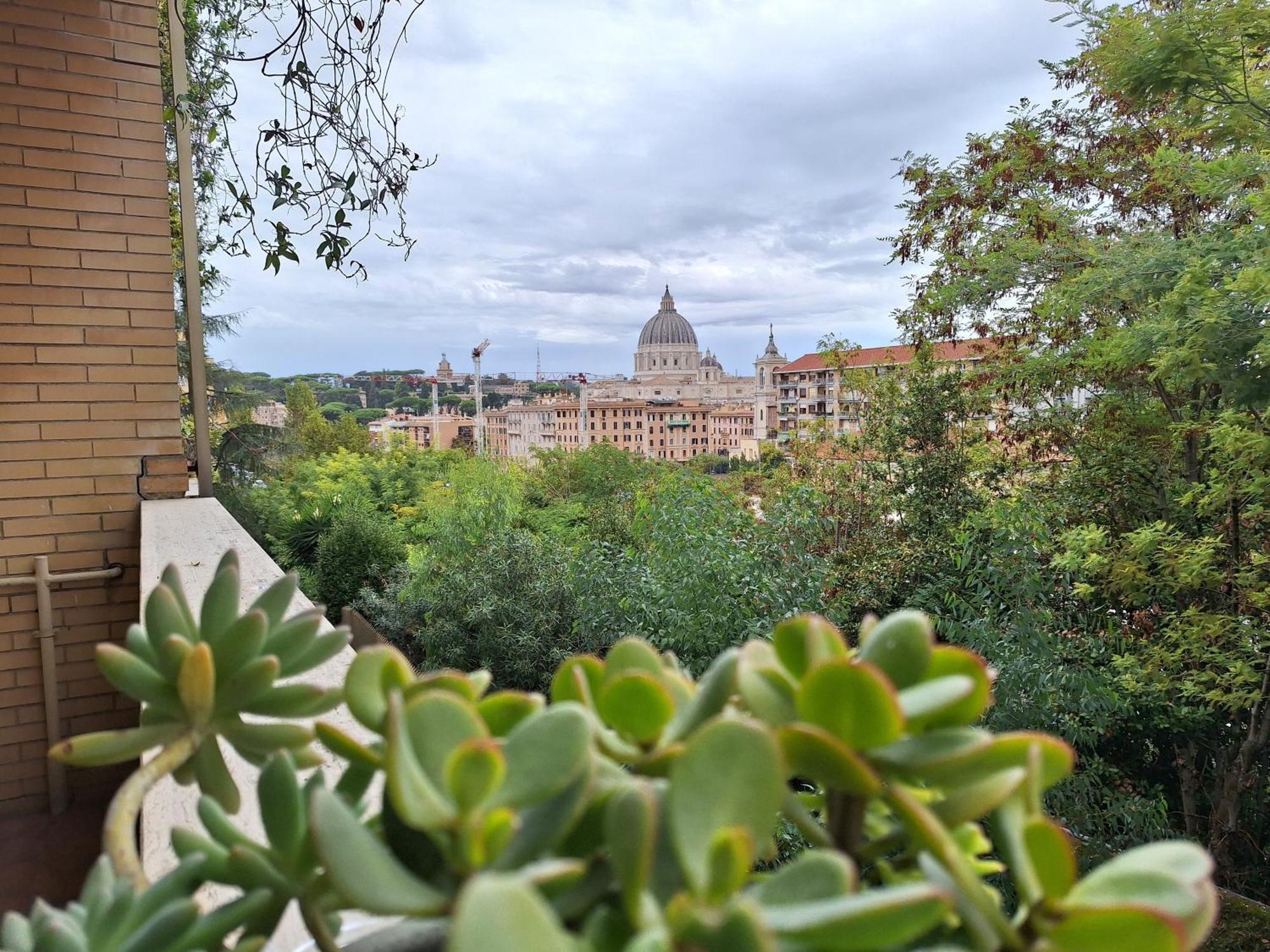 Delmirani's Book - Vatican View Appartamento