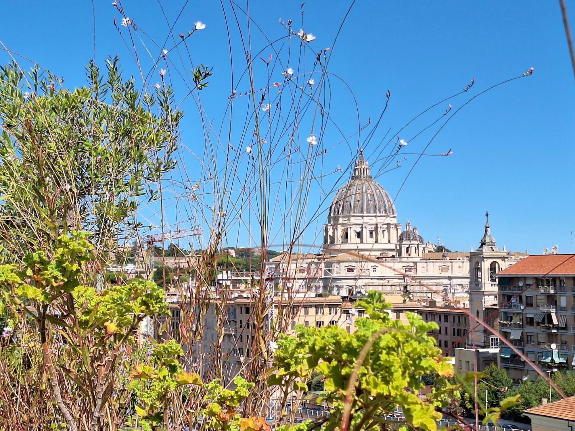 Delmirani's Book - Vatican View Appartamento